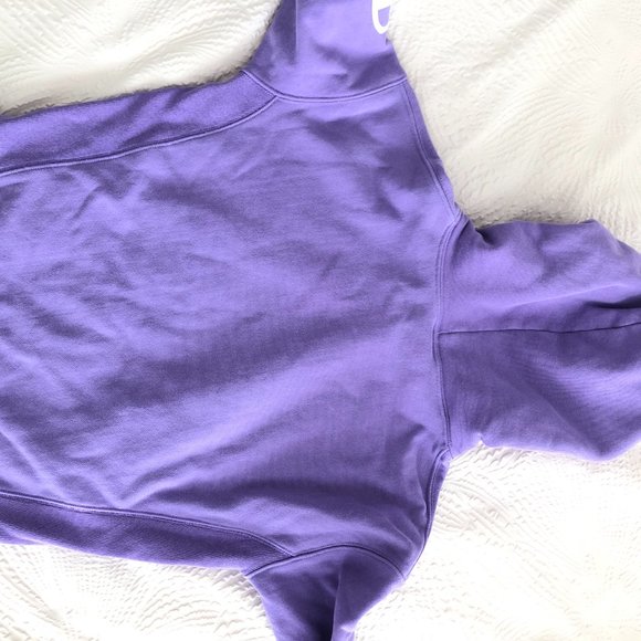 Champion Script Sleeve Hoodie Sweatshirt - Picture 4 of 4